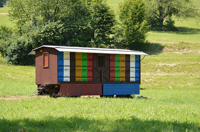 včelnica